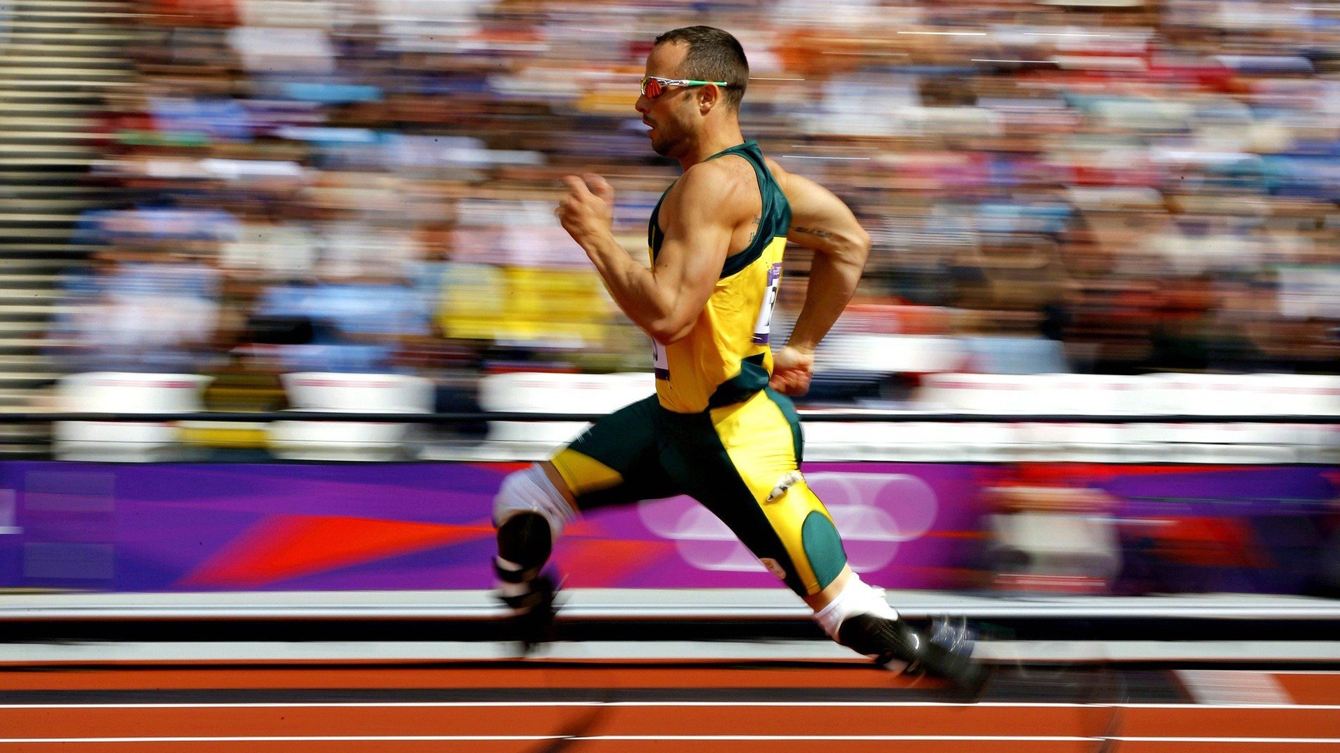 双线奏凯，英格兰轻取葡萄牙显统治力，樊振东扛鼎国乒展大将风范